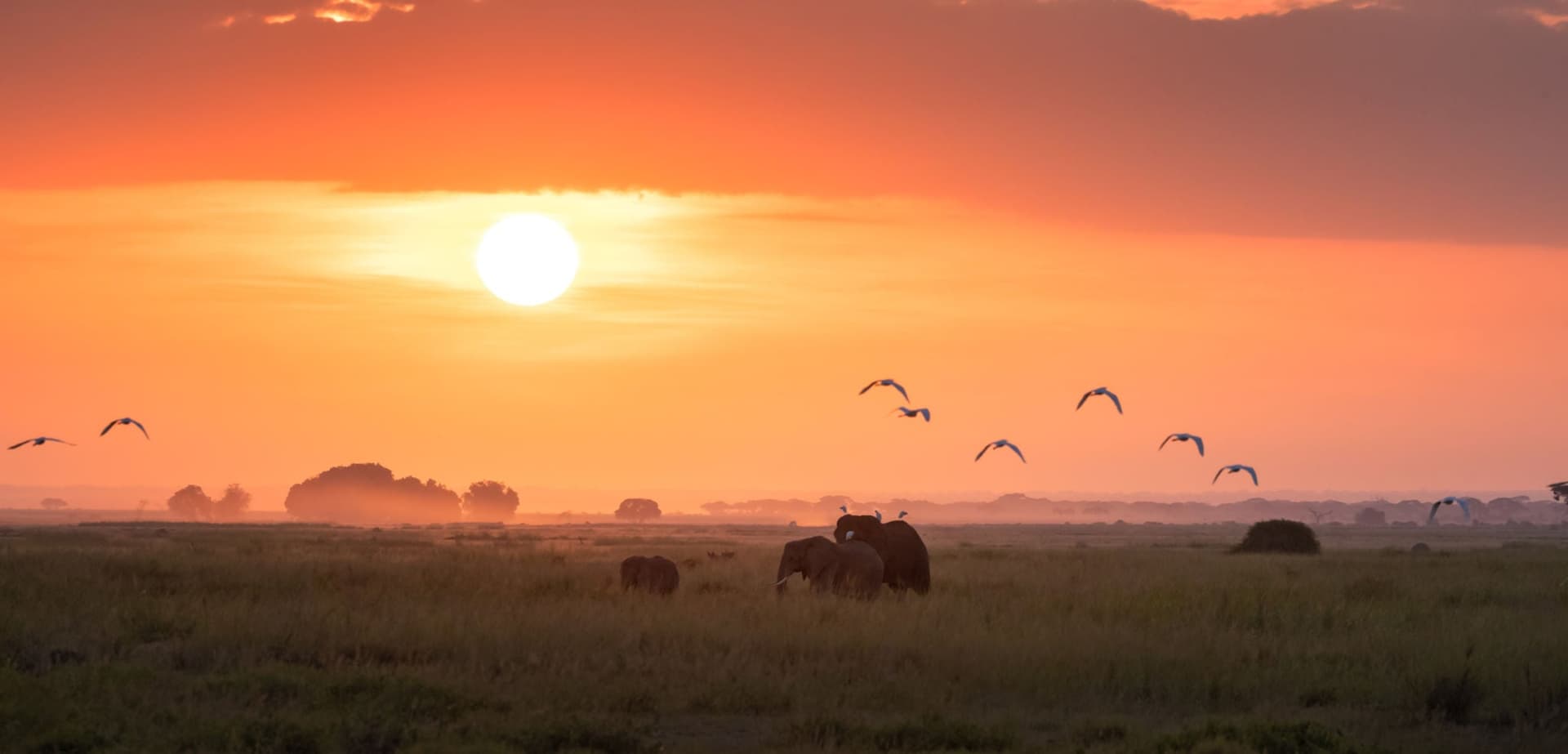 Day 2: Full day private game drives in Amboseli National Park