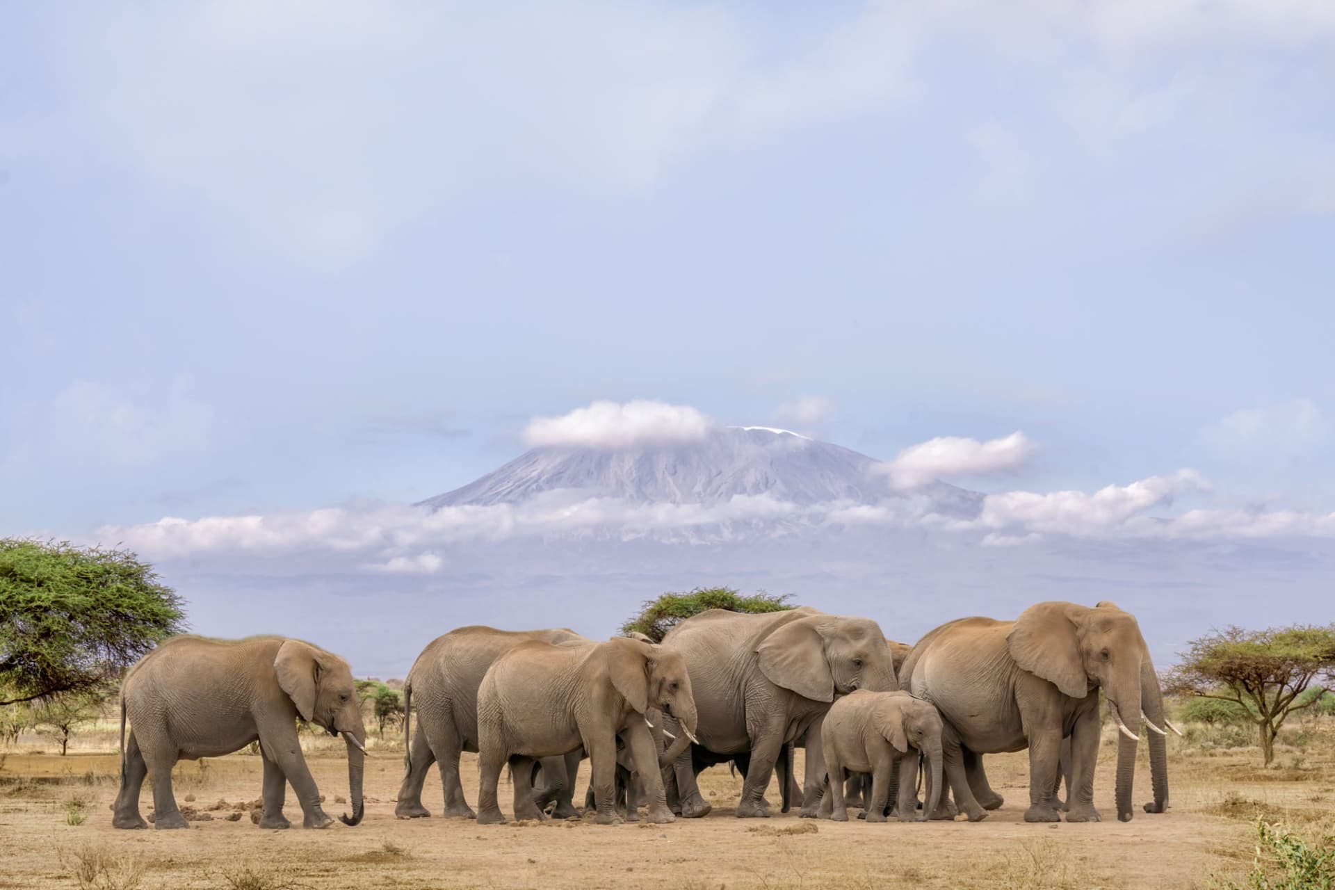 3 Days Amboseli Luxury Safari 2