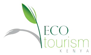 Eco tourism Kenya logo with green leaf graphic and stylized text on a black background.