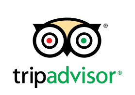 Tripadvisor logo with owl eyes icon and green wordmark on a black background
