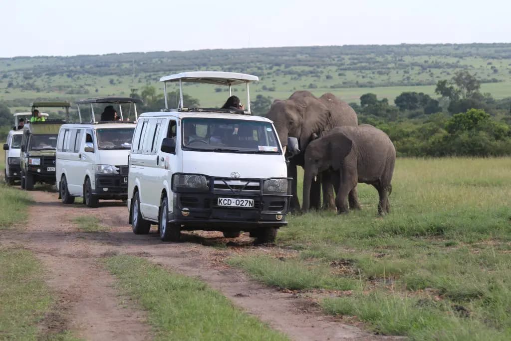 4×4 Safari Van 2
