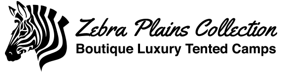 Zebra Plains logo with a black zebra silhouette and brown lettering on a white background.