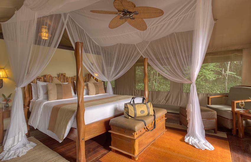 Sarova Mara Game Camp 4