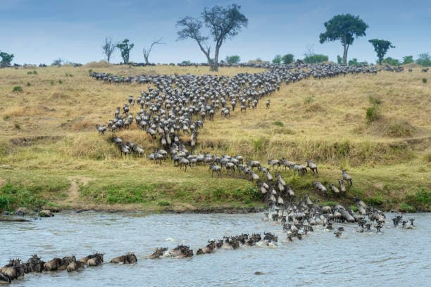 Serengeti National Park — Tanzania