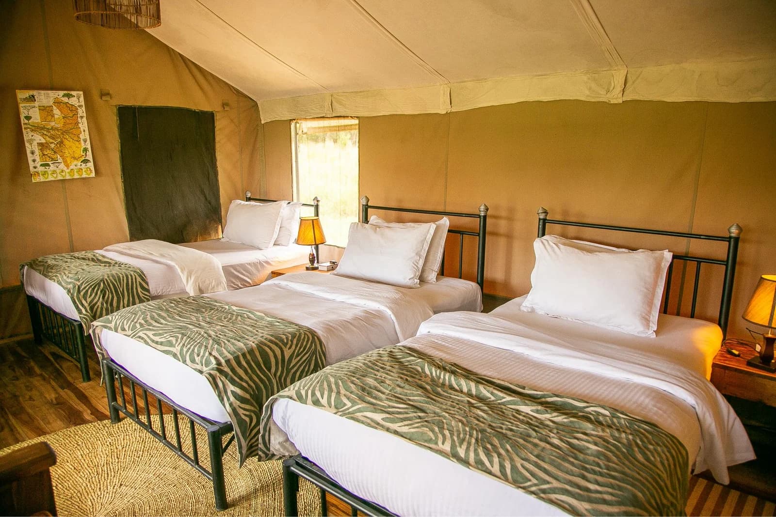 Kontiki Serengeti 5
