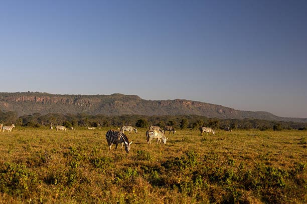 Lake Nakuru National Park — Kenya