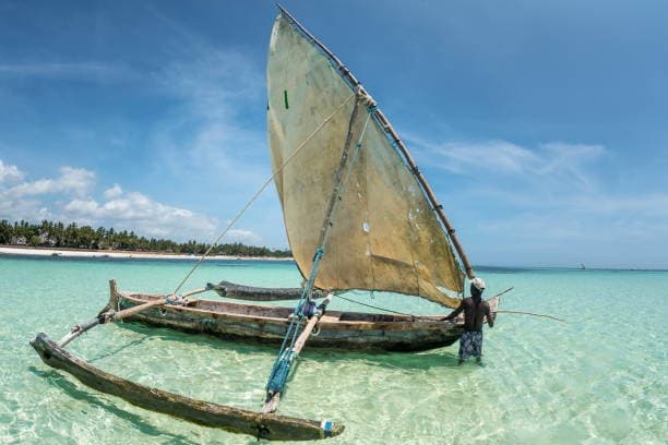 Day 8: Day 8: Relaxation in Diani Beach