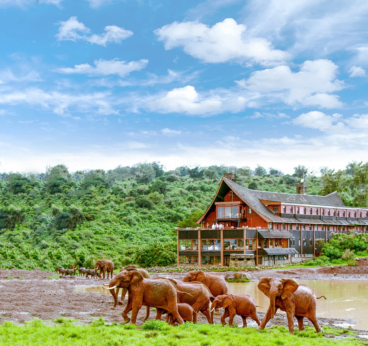 The Ark Lodge