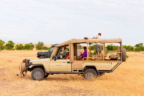 Offener Land Cruiser