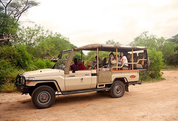 Open-Sided Land Cruiser 4