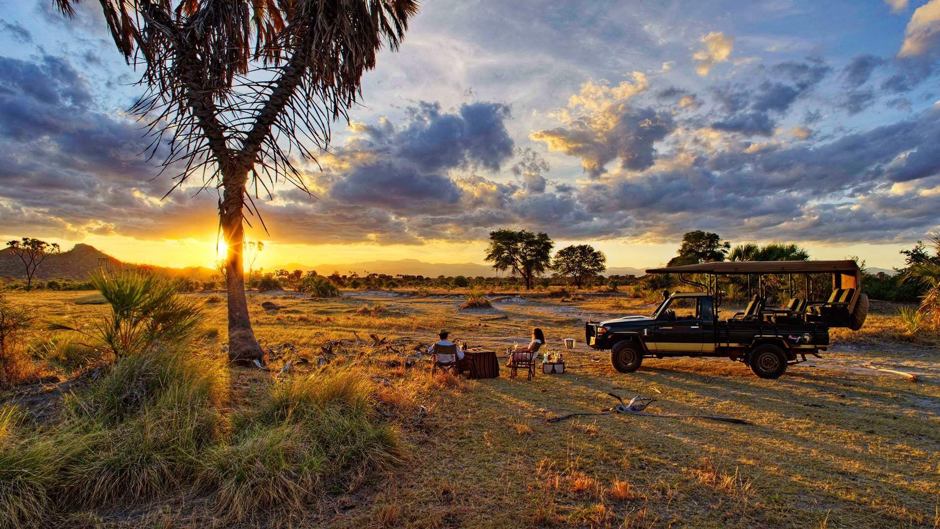 East African Luxury Safari Operator: Complete Guide