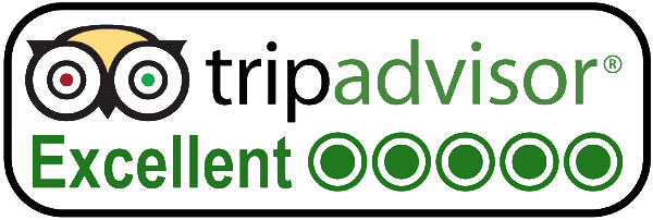 Tripadvisor Excellent logo with owl icon, green lettering, and five outlined circles in a rounded black border