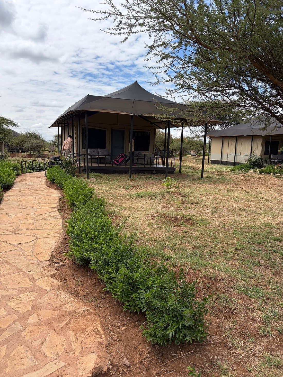 Praro Amboseli 2