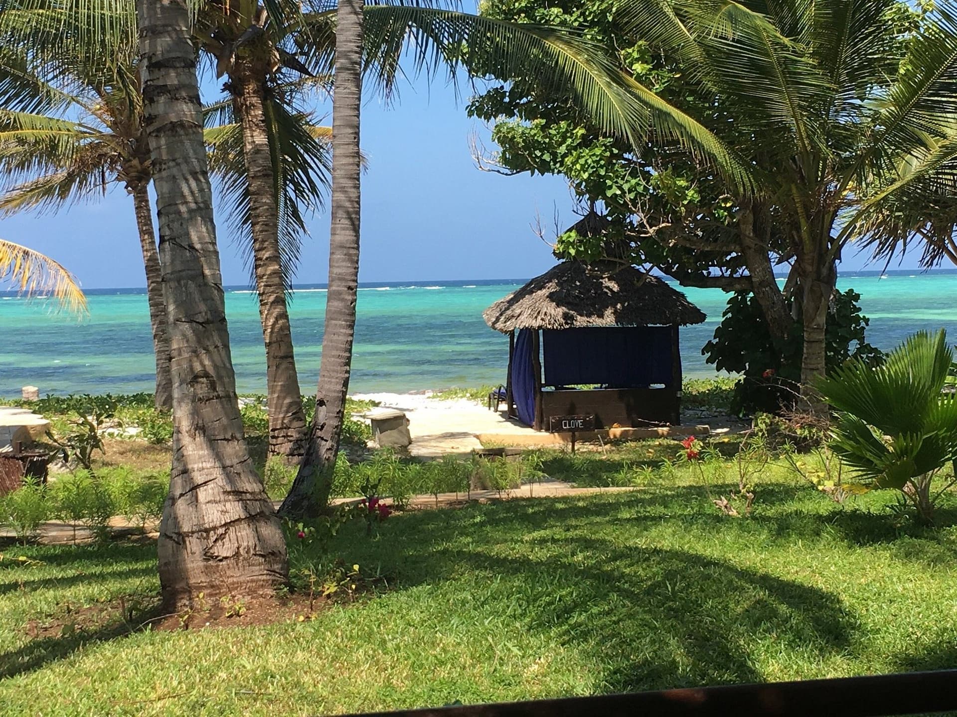 The Plams Zanzibar 4