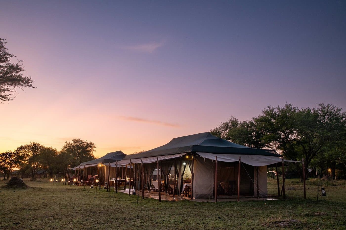 Serengeti Under Canvas