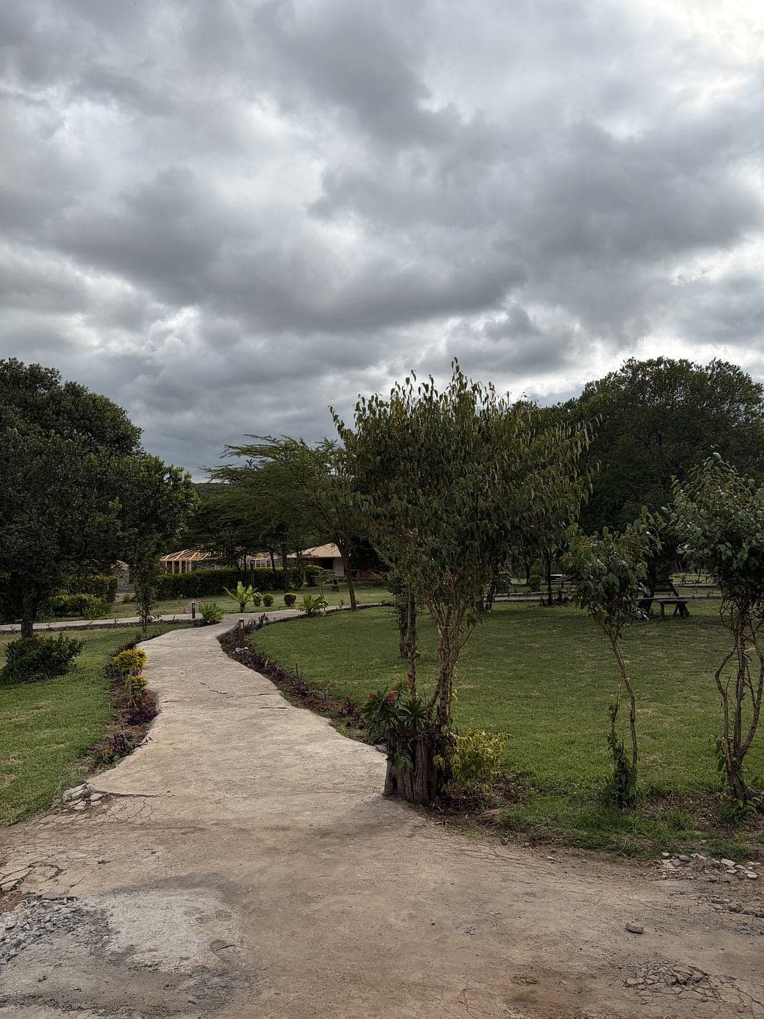 Wildnest Mara Camp — safari photo 5