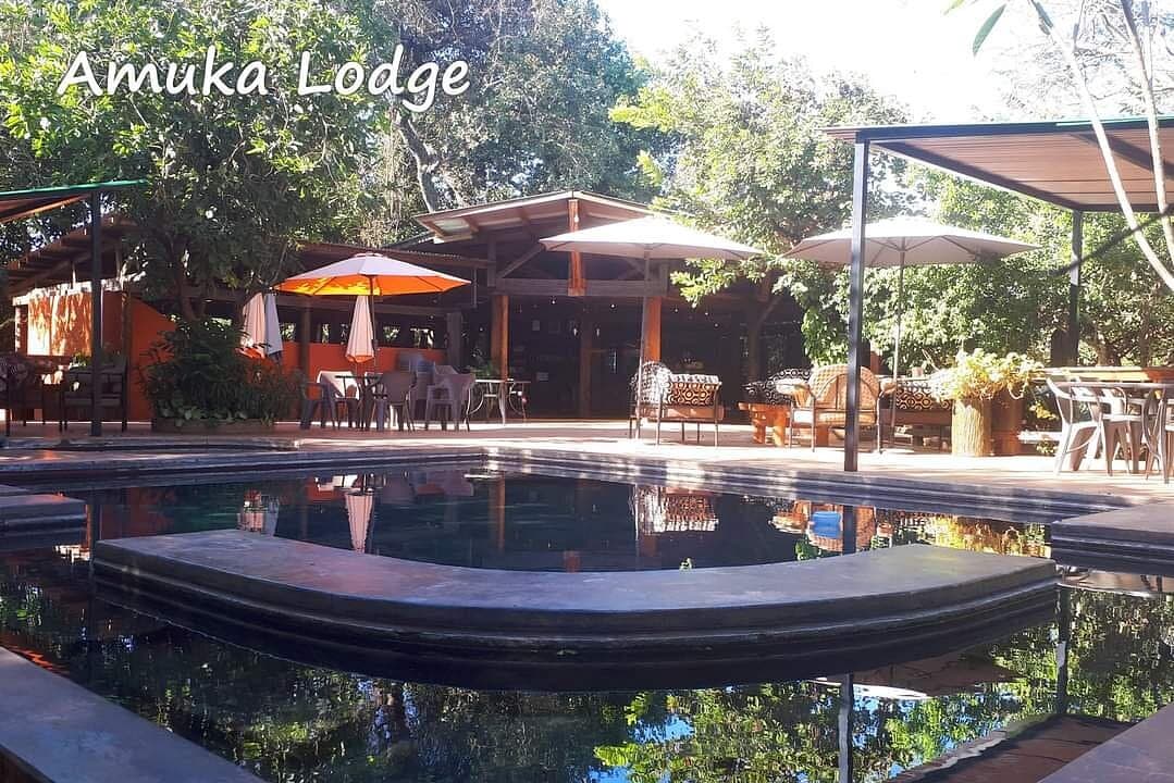 Amuka Lodge — safari photo 2