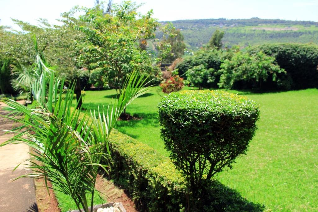 Rebero Resort 4