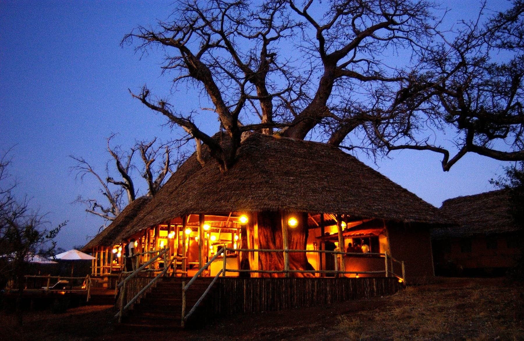 Elewana Tarangire Treetops — photo 5