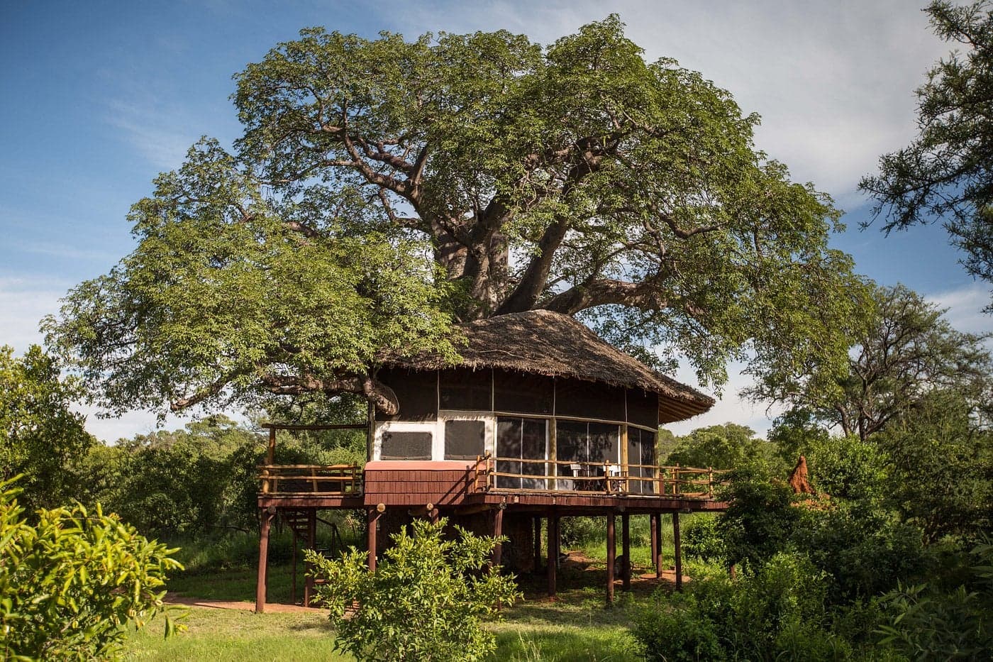 Elewana Tarangire Treetops — photo 1