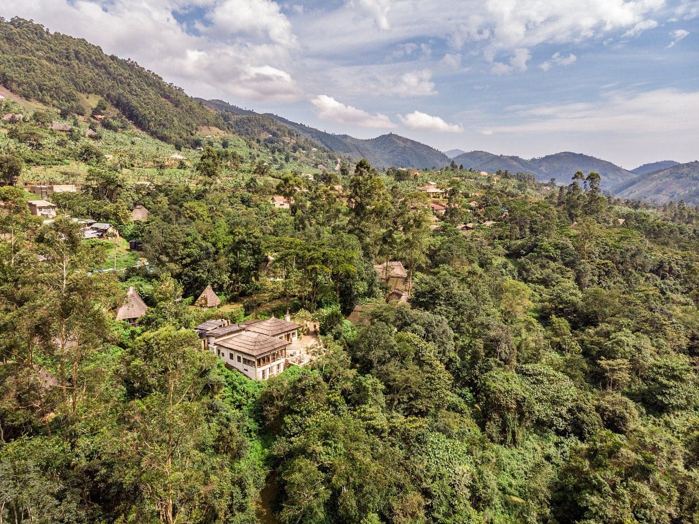 Volcanoes Safaris Bwindi Lodge — safari photo 2
