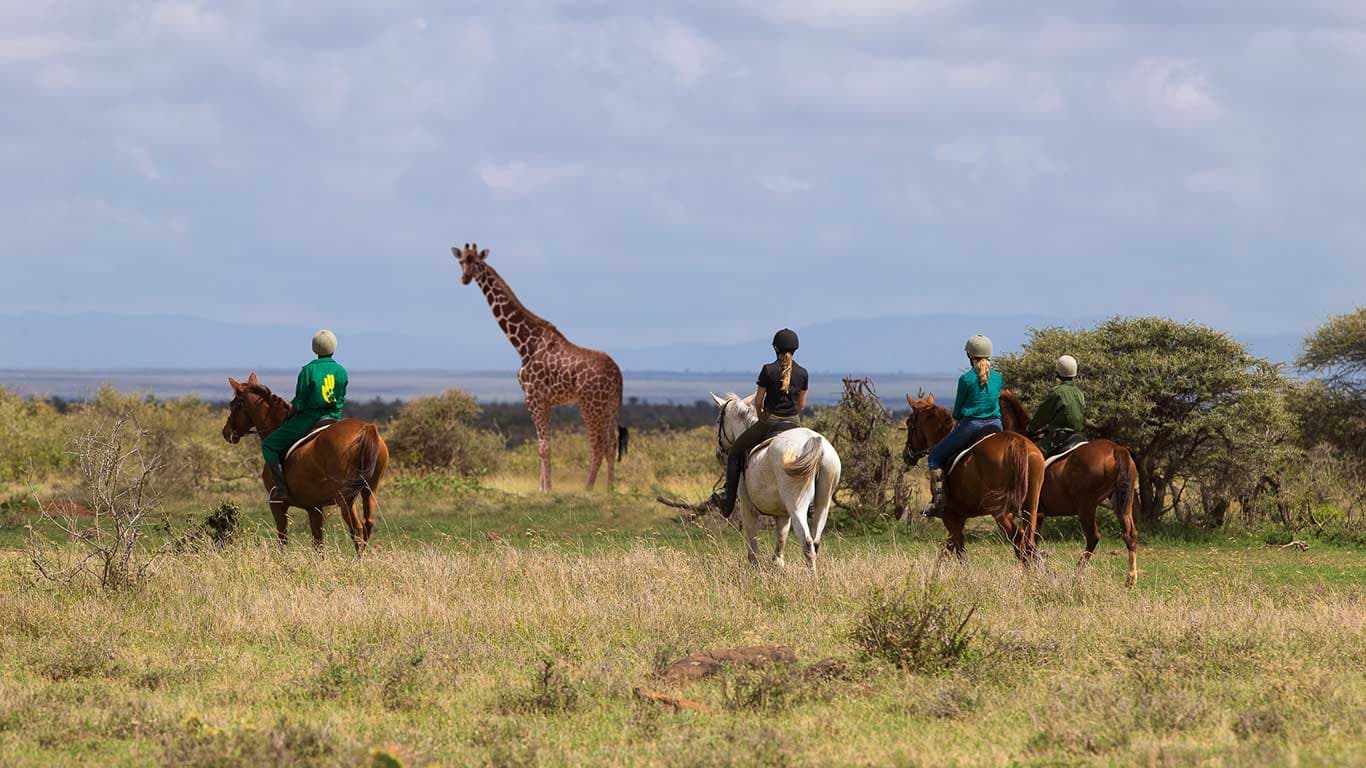 Elewana Loisaba Tented Camp 5