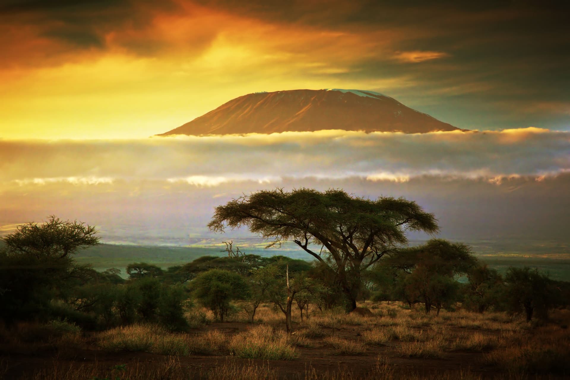 Top 10 National Parks in East Africa