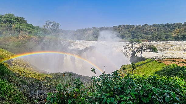 Day 2: Murchison Falls National Park Game Drive and Nile Boat Safari