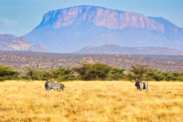 Samburu National Reserve