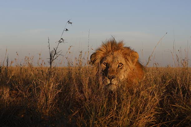 Tarangire National Park