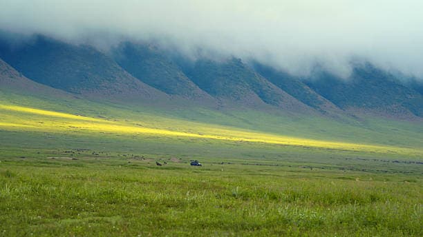 Parc du cratère du Ngorongoro