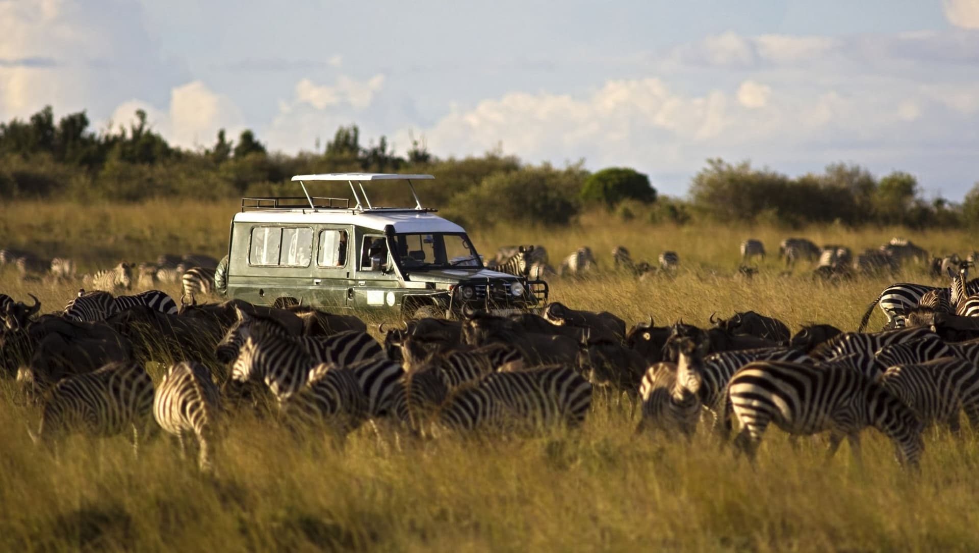Day 1: Day 1: Arrival in Nairobi and Transfer to Masai Mara