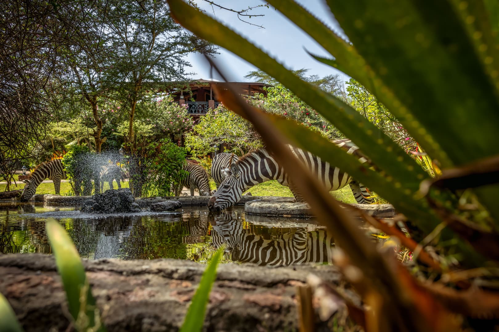 Lake Naivasha Lodge