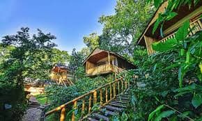 Volcanoes Safaris Bwindi Lodge
