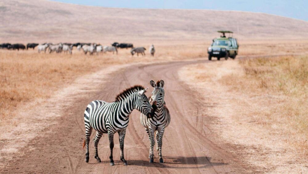 Ngorongoro-consevation-area