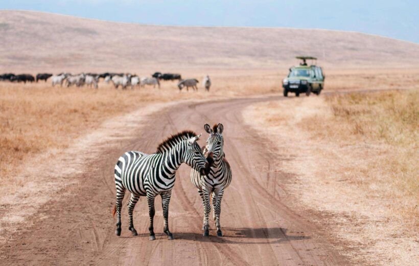 Fascinating Serengeti & Ngorongoro Crater