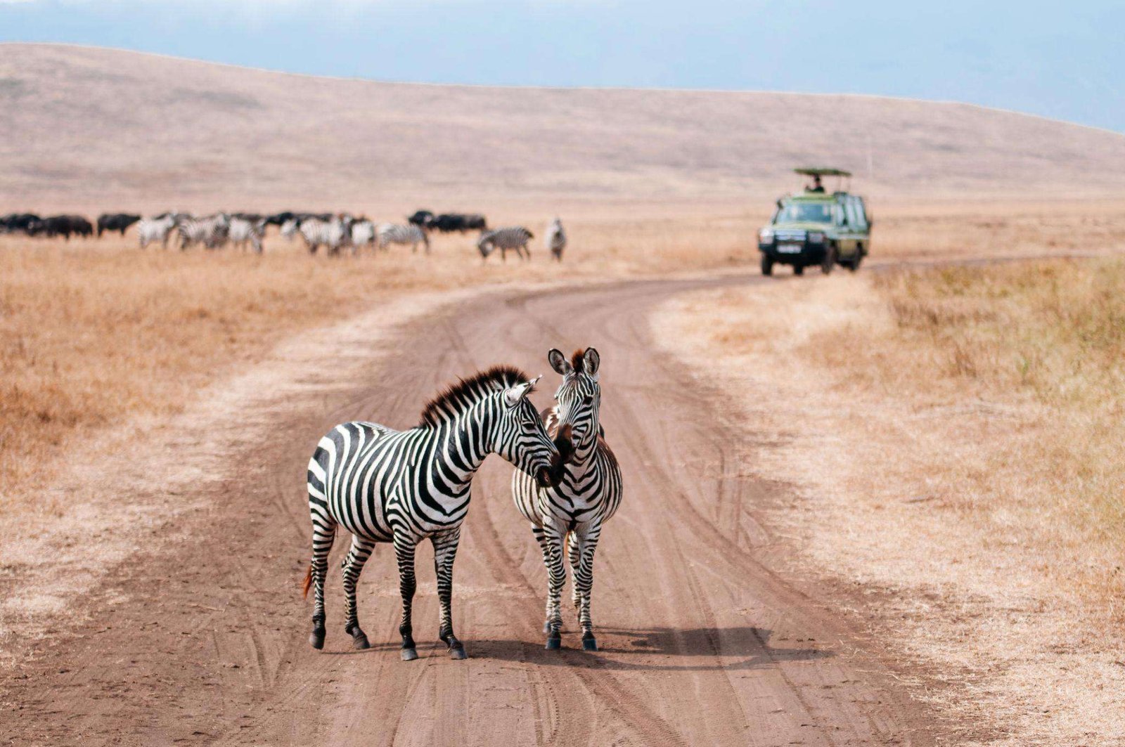 Ngorongoro-consevation-area