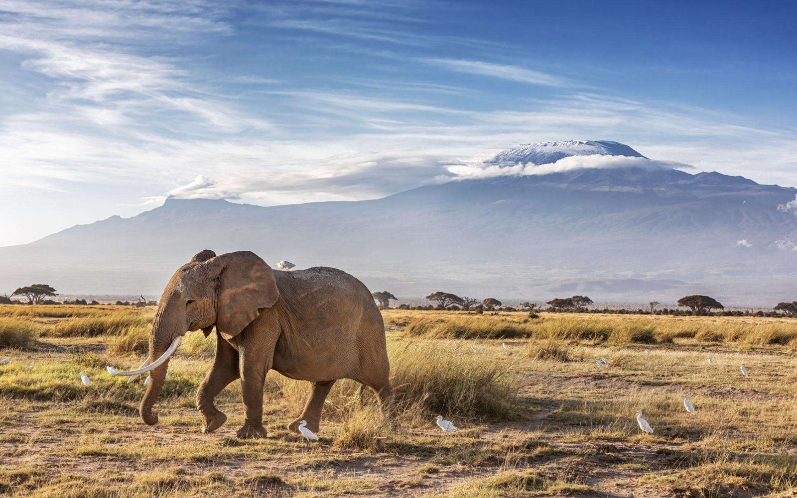 amboseli-nationa-park-kenya-safari