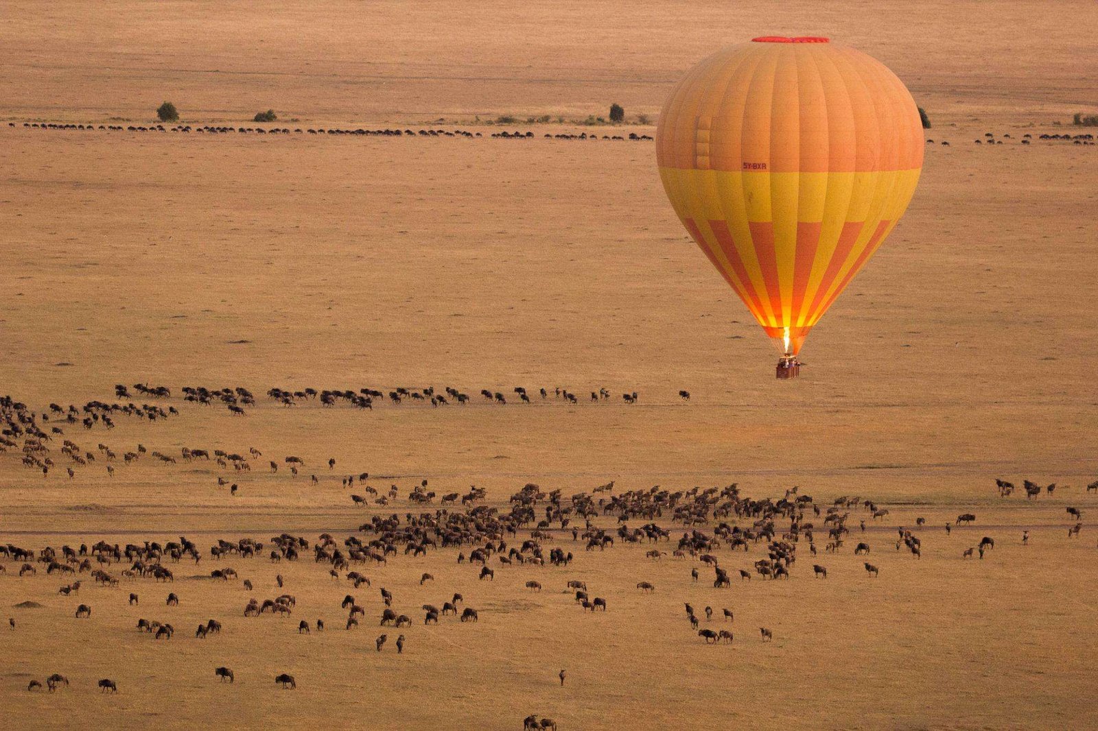 A Hot Air Balloon Safari in Africa.