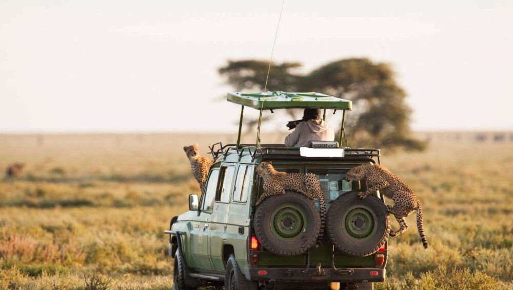 land-cruiser on an African Safari