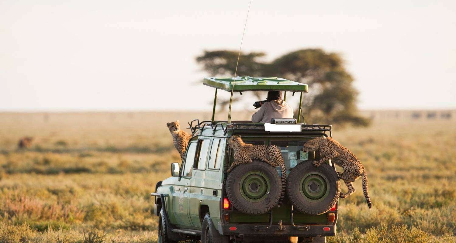 land-cruiser on an African Safari