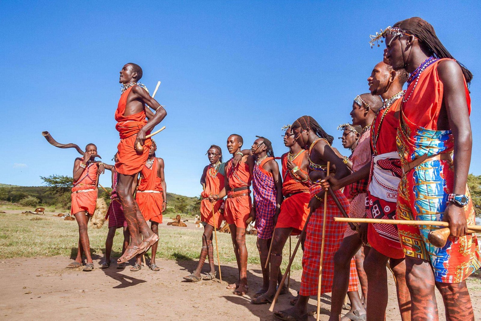 maasai warriors performing