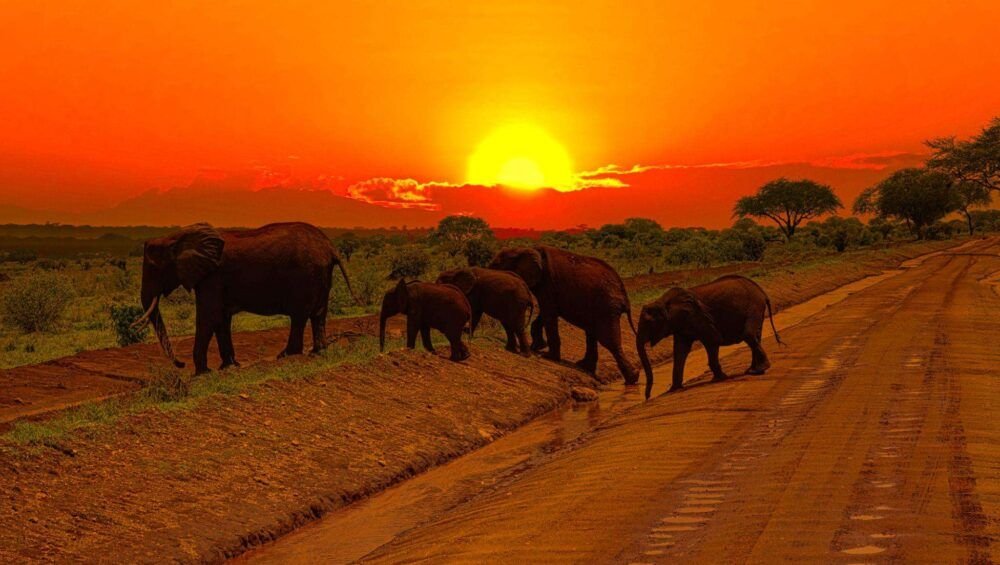 Tsavo East National park and Tsavo West Sunset