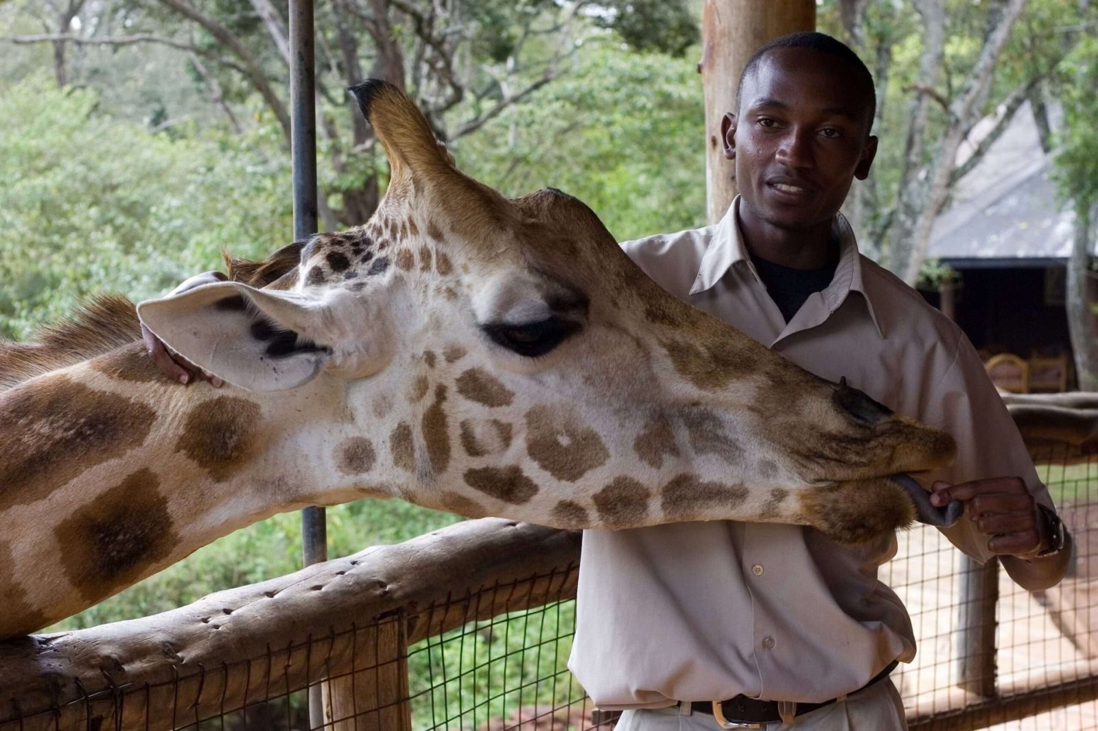 giraffe center Nairobi