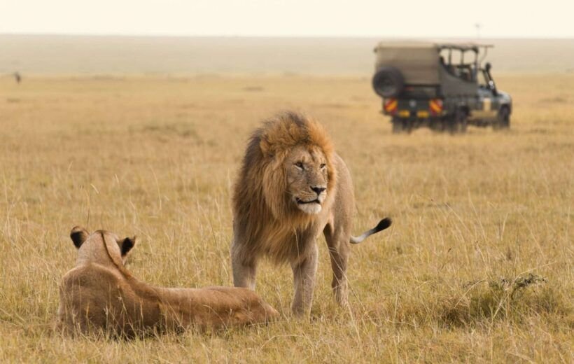 Birds and Beasts of Kenya Safari