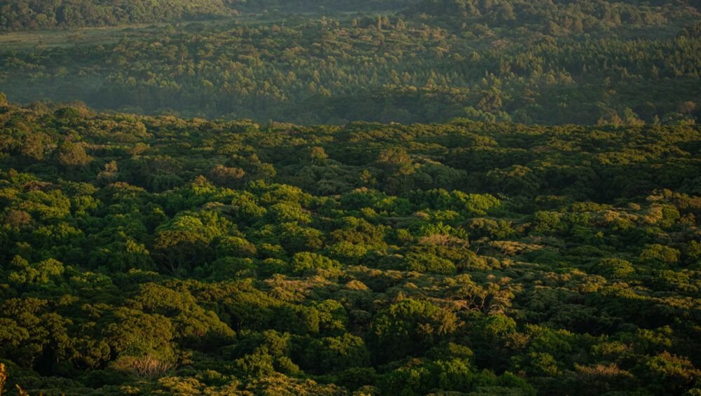 sunrise kakamega forest