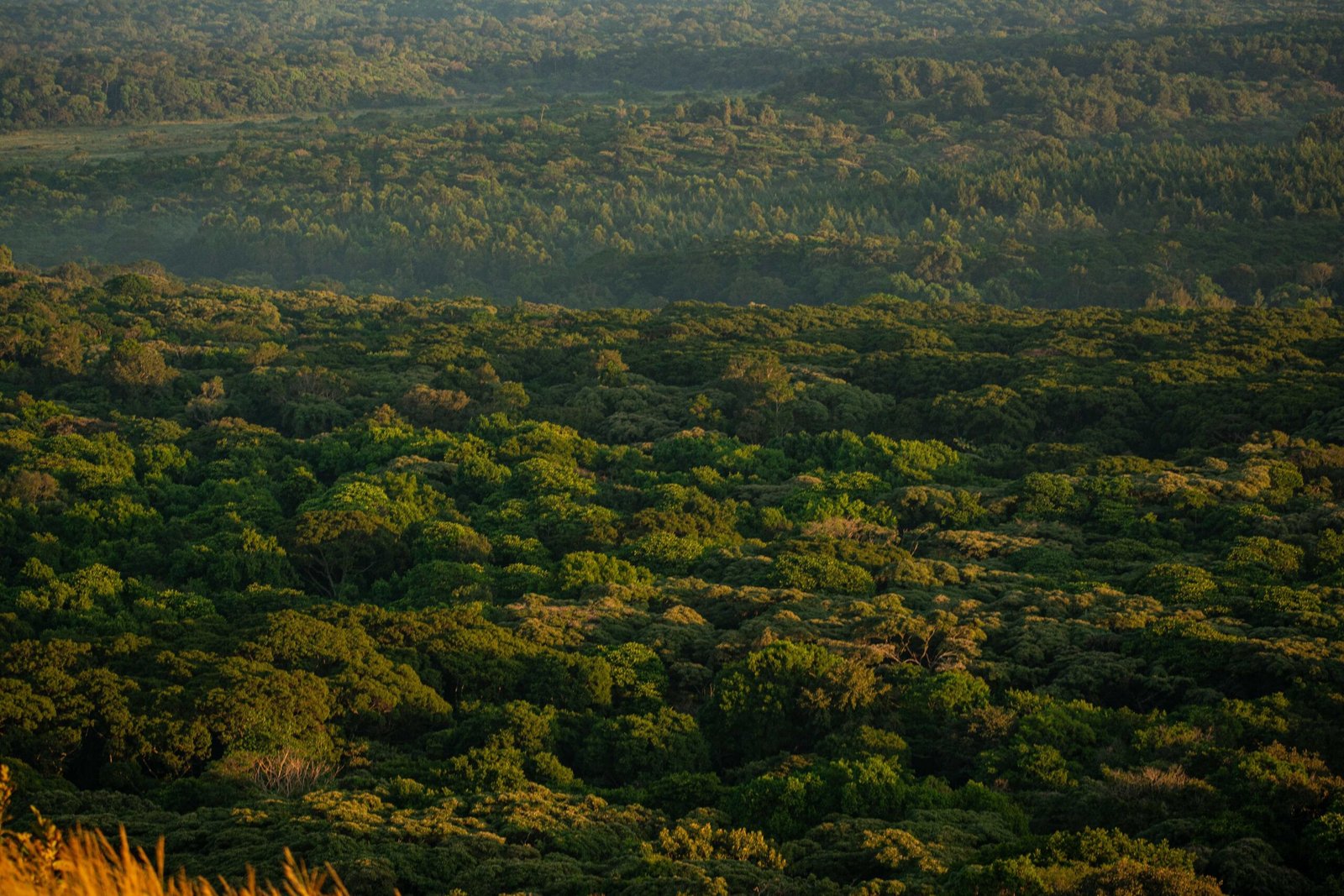 sunrise kakamega forest