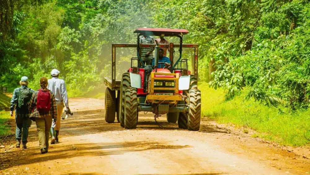 Peaceful safari walks in Kenya National Parks