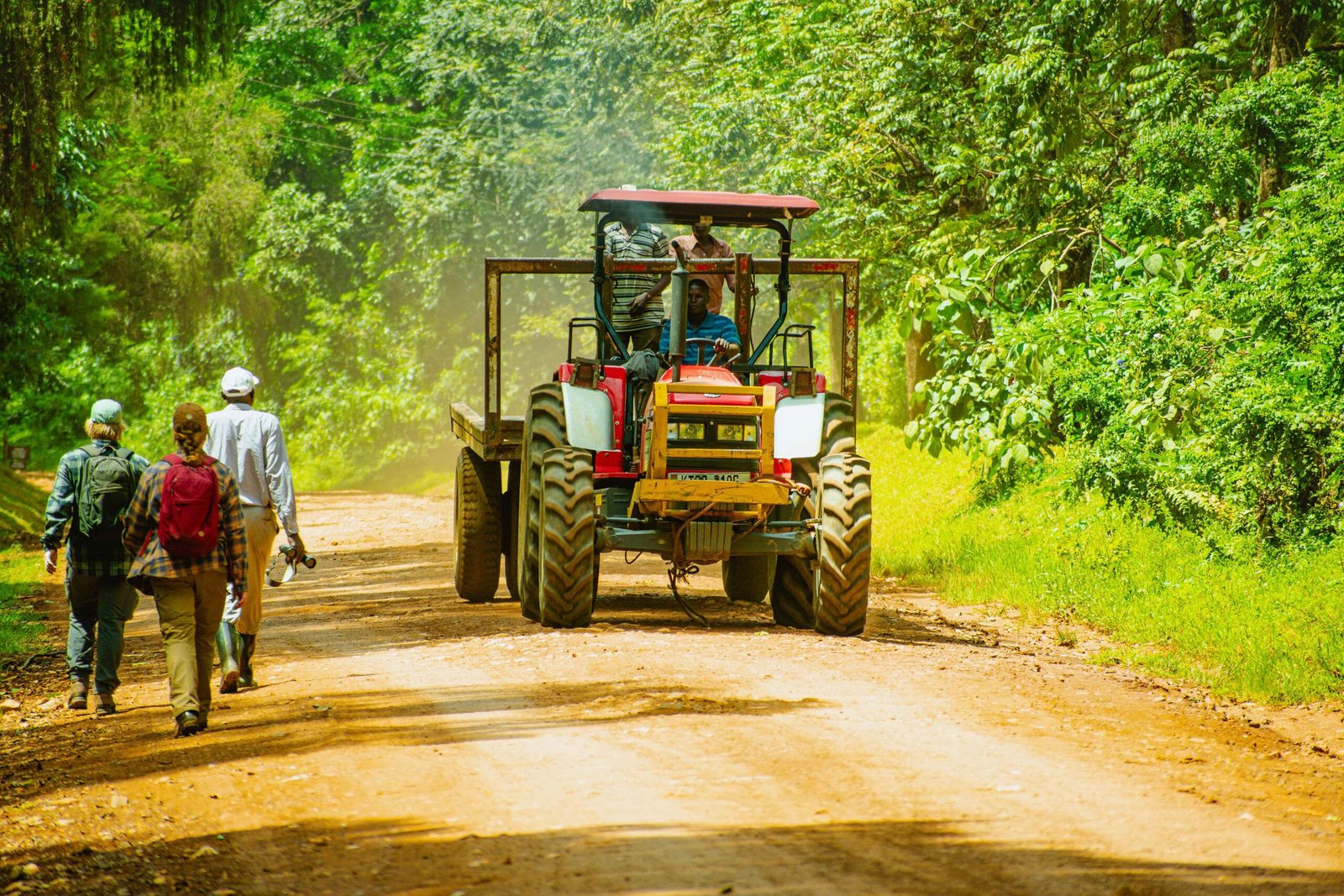 Peaceful safari walks in Kenya National Parks