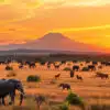 Top 10 National Parks in East Africa You Must Explore
